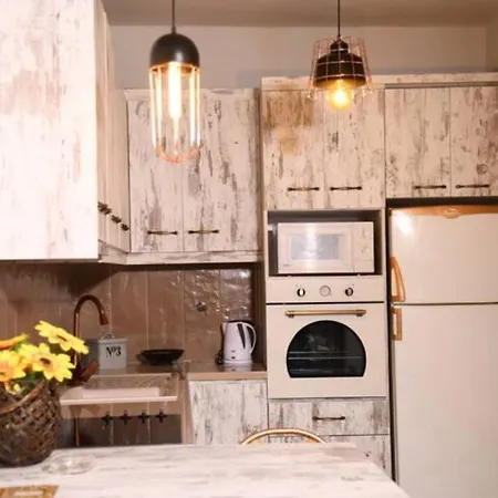 View House בית נופש סארטי